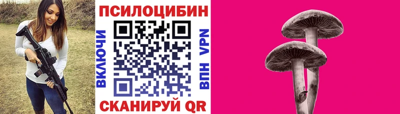 купить  сайты  Большой Камень  Галлюциногенные грибы Psilocybine cubensis 